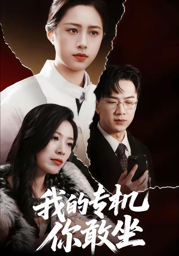 我的专机你敢坐